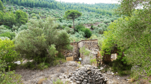 We Bought an Abandoned Land in Spain with a Stone House