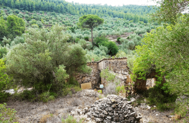 We Bought an Abandoned Land in Spain with a Stone House