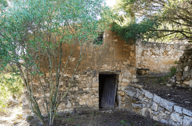 The First [Questions & Answers] About Our Abandoned Farm in Spain