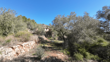 Our Abandoned Farm in Spain