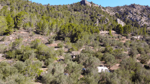 Our New Off Grid Life in Spain