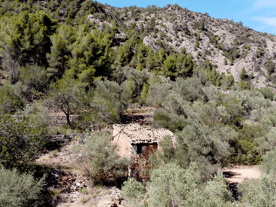 This is Our Abandoned Farm in Spain